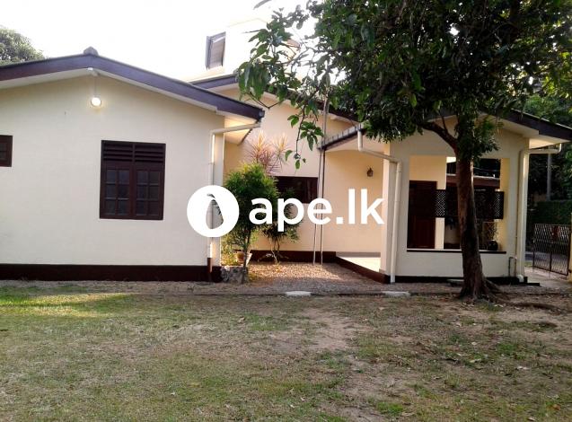 Free-standing house for rent at Nugegoda